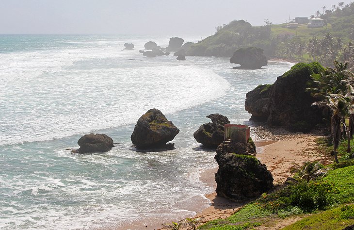 Bathsheba Bay