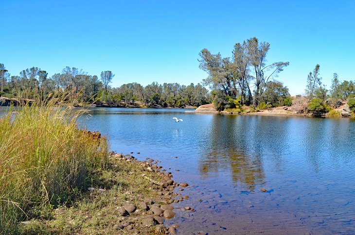 Folsom Lake State Recreation Area