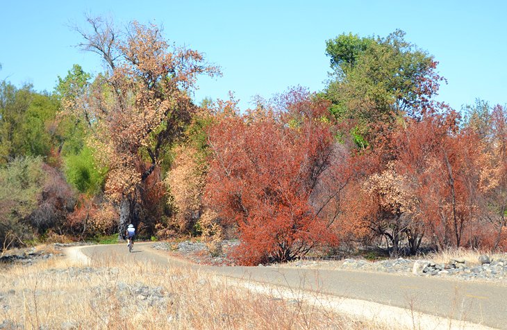 Jedediah Smith Memorial Parkway and the American River Parkway
