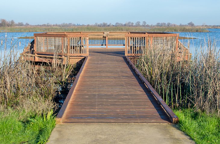 Bird observation platform at the Cosumnes River Preserve