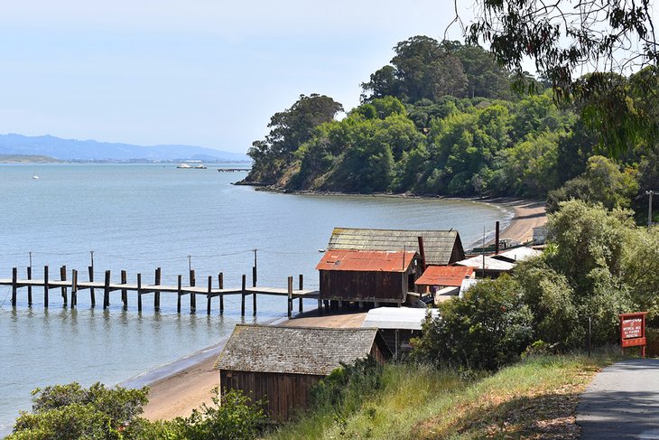 12 campamentos mejor calificados cerca de San Francisco, CA