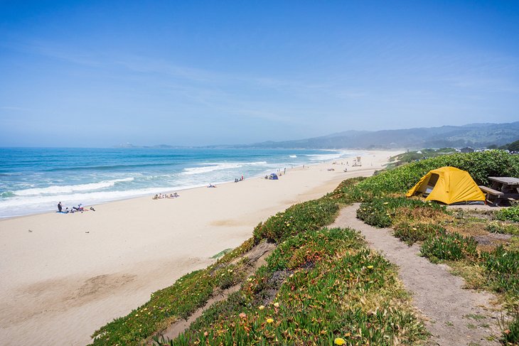 Camping on the coastal bluffs of Francis Beach Campground