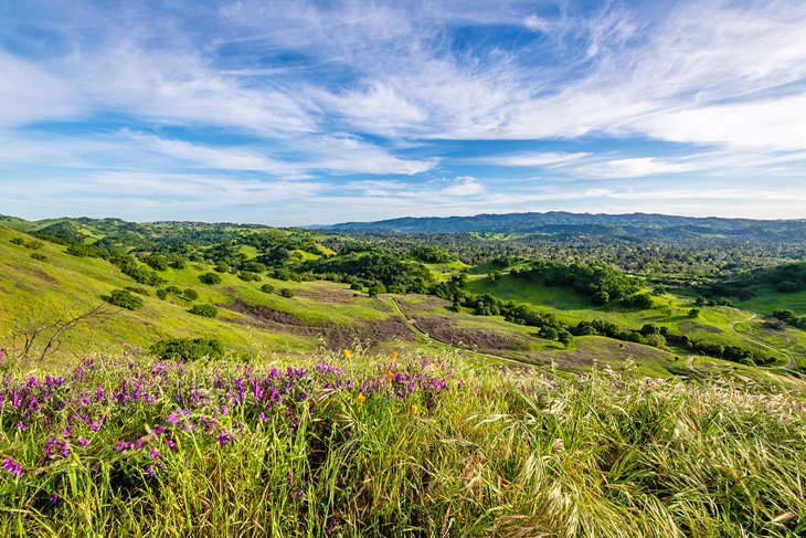 12 campamentos mejor calificados cerca de San Francisco, CA