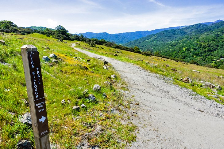 12 rutas de senderismo mejor valoradas cerca de San José, CA