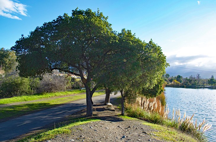 Los Gatos Creek Trail