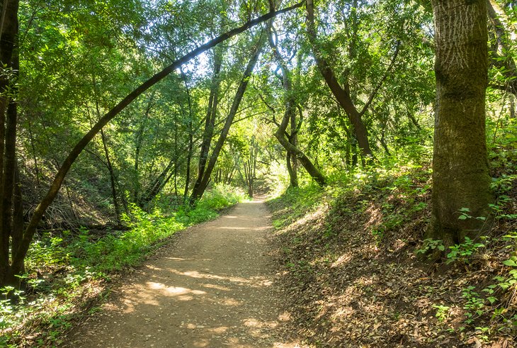 Ultimate Flyve drage Motherland 12 Top-Rated Hiking Trails near San Jose, CA | PlanetWare