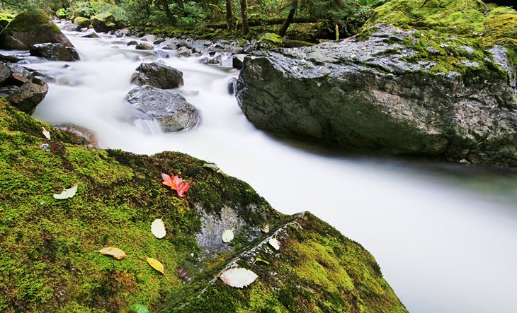 Stawamus River