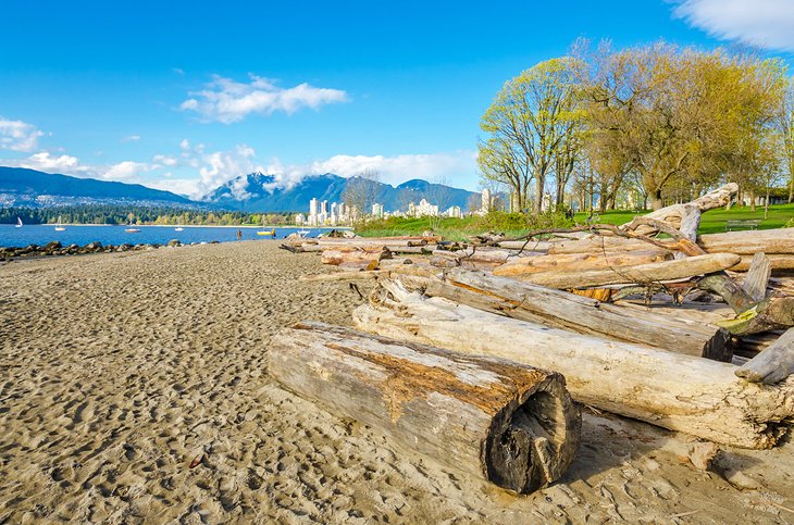 Driftwood on Kitsilano Beach