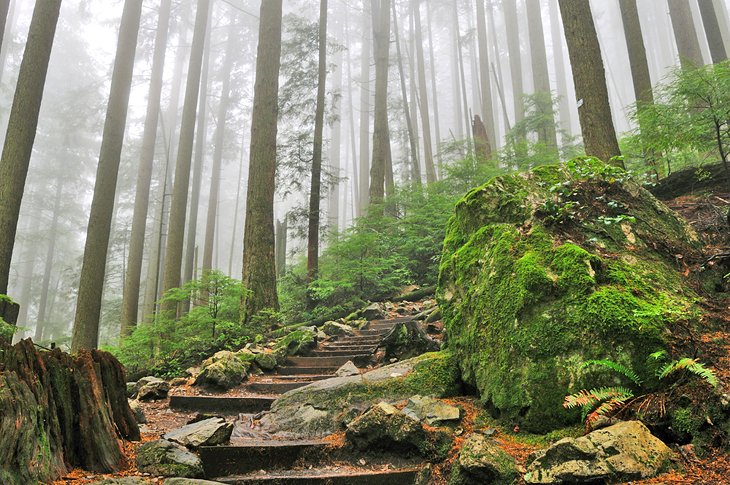 Trail on Grouse Grind
