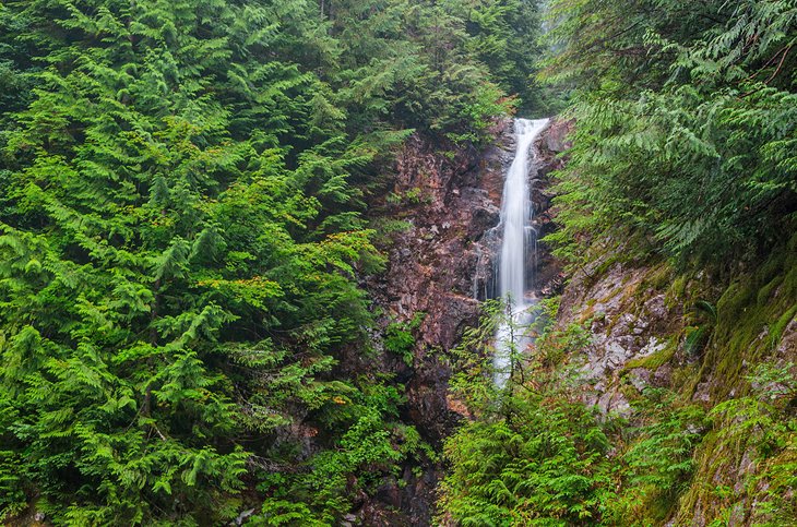 11 caminatas mejor calificadas cerca de Vancouver, BC