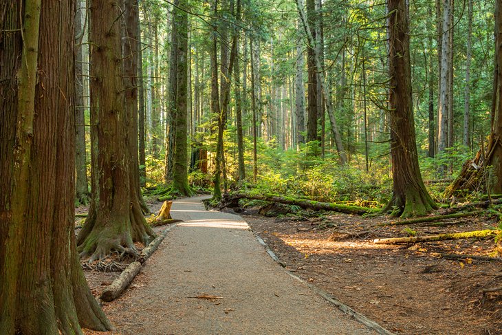 Pacific Spirit Park