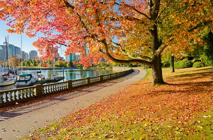 Fall colors along a trail in Stanley Park