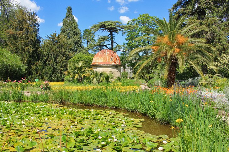 Jardin des Plantes