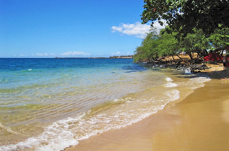 11 mejores playas en la isla grande de Hawái, HI 11 mejores playas en la isla grande de Hawái, HI