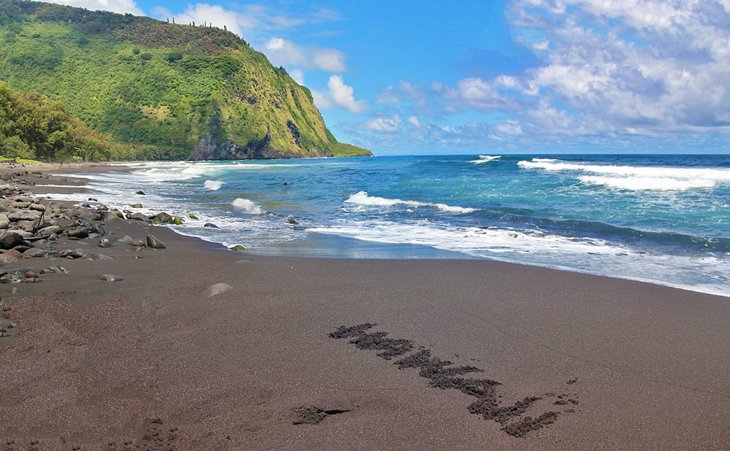 Waipi'o Black Sand Beach