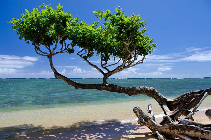 12 mejores playas en Kauai, HI