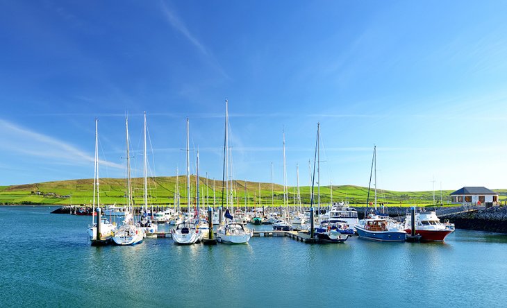 Dingle Harbour