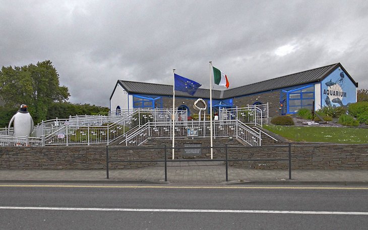 Dingle Oceanworld Aquarium