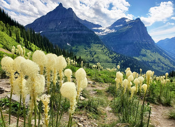 Glacier National Park