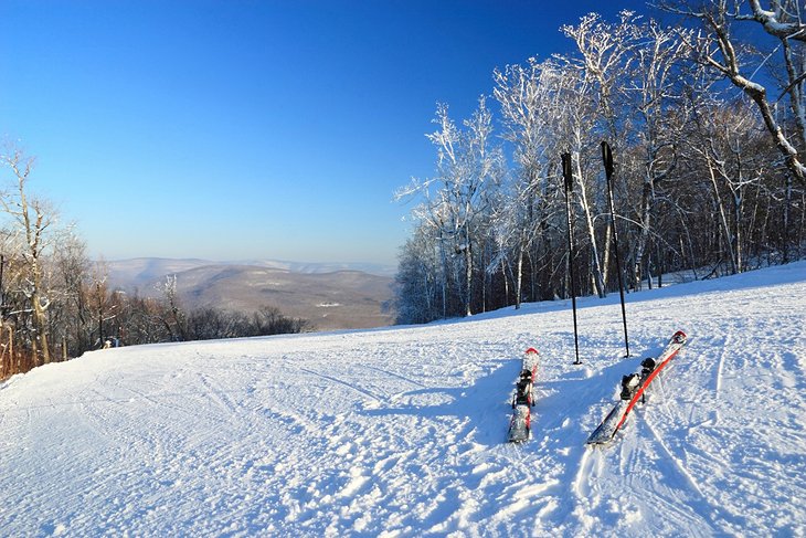 Belleayre Mountain