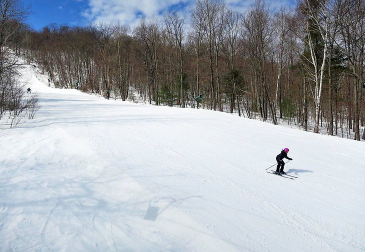 Skiers at Catamount Mountain
