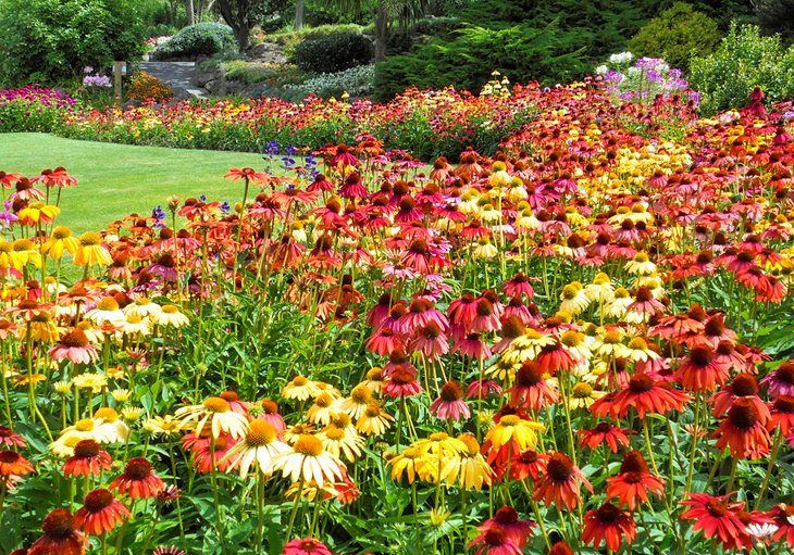 Napier Botanical Gardens