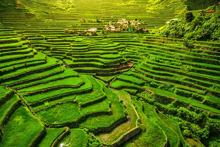 Rice terraces in Batad, Northern Luzon