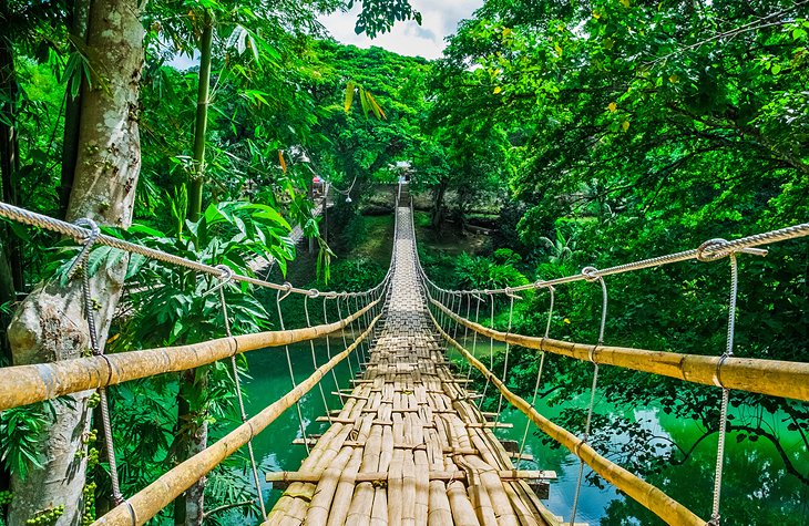 Bamboo bridge in the rainforest, the Philippines
