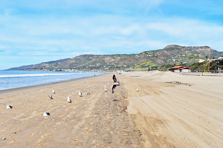 14 mejores playas del sur de California