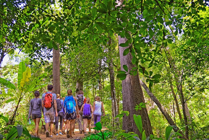 A tour group hiking through the jungle of Khao Yai National Park