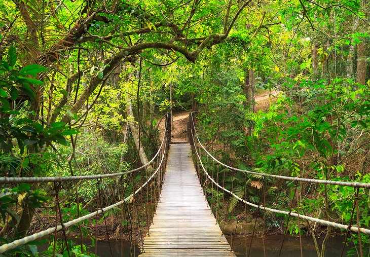 Bridge in Khao Yai