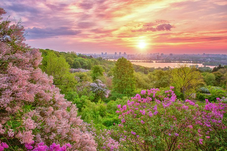 The M. M. Gryshko National Botanical Garden in Kyiv (Kiev) at sunrise