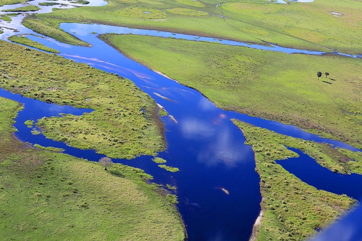Aerial view of the Florida Everglades
