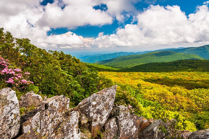 Shenandoah National Park