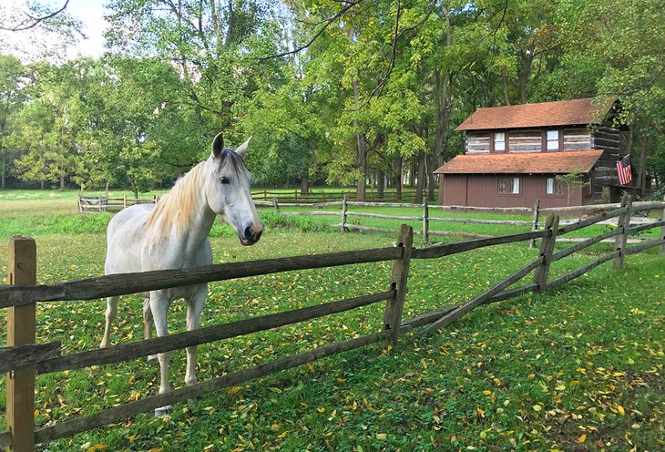 A horse and an old log cabin at Blennerhassett Island Historical State Park
