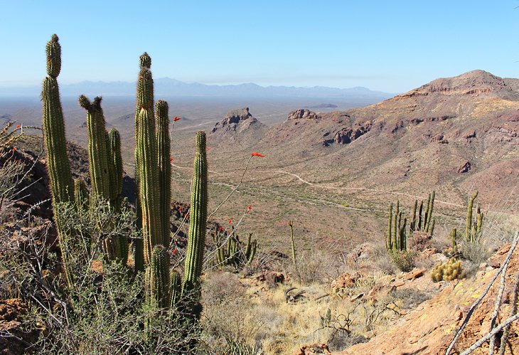 Arizona en imágenes: 14 hermosos lugares para fotografiar
