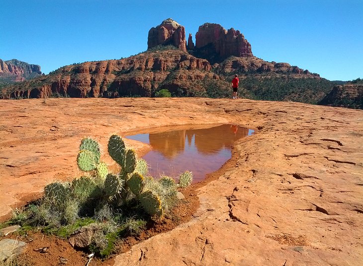 Cathedral Rock in Sedona