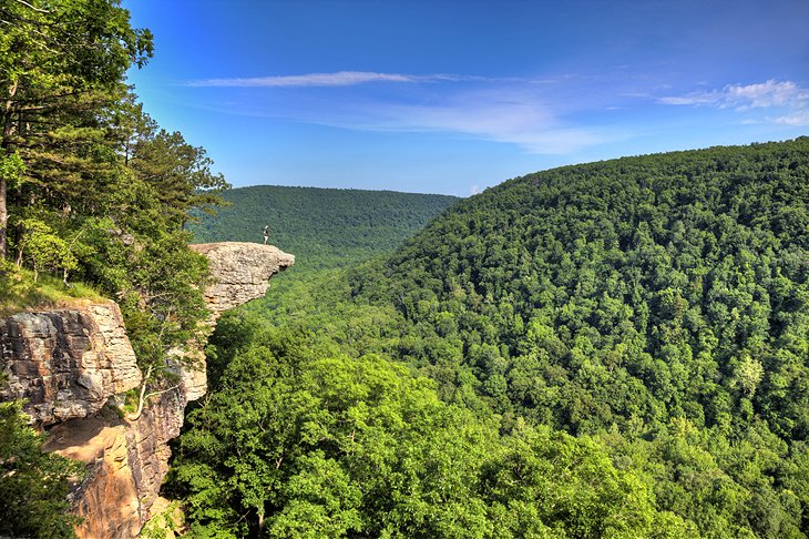 Hiker on Whitaker Point, a.k.a Hawksbill Crag
