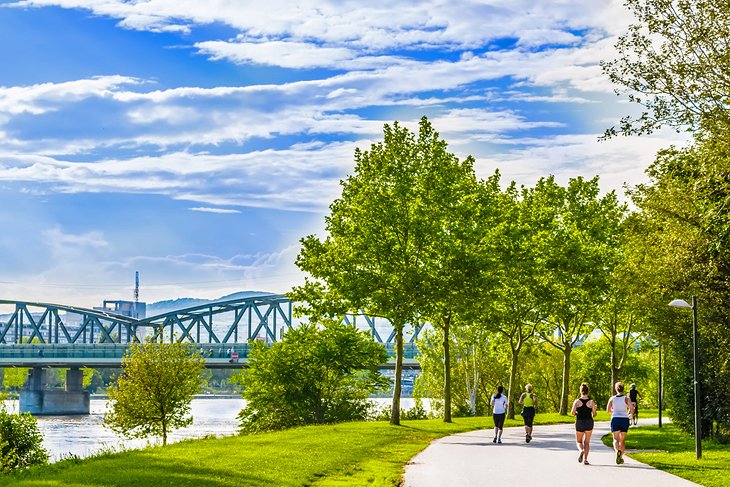 Joggers on Danube Island