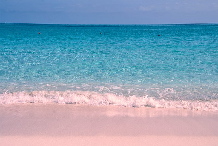 Pink sand beach on Harbour Island