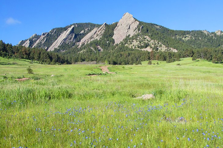 View of the Flatirons from Chautauqua Park