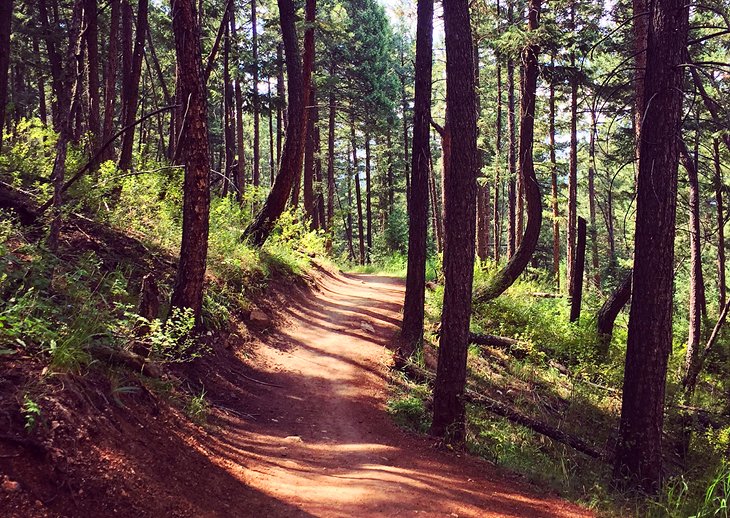 Trail in Lair o' the Bear Park