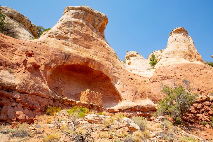 Canyons of the Ancients National Monument