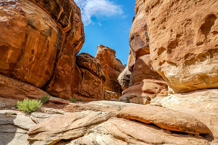 Hell's Kitchen in Colorado National Monument