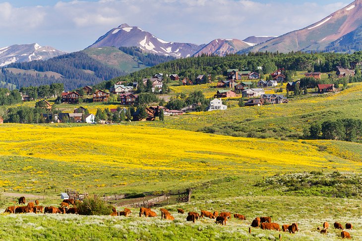 Landscape around Crested Butte