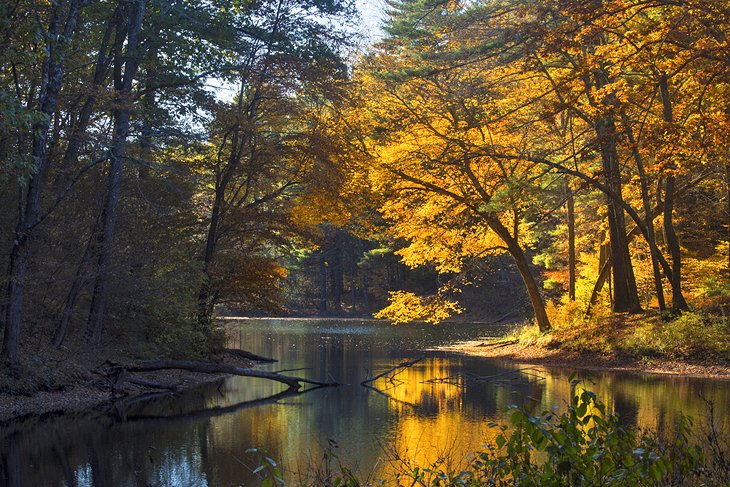 Fall colors at Mansfield Hollow State Park