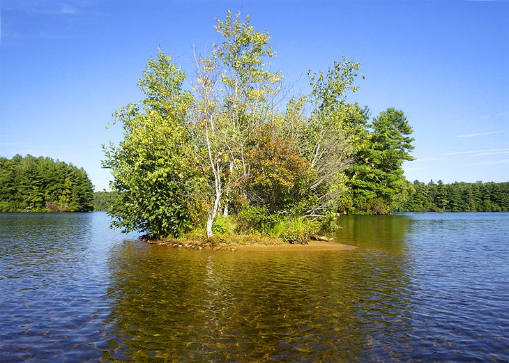 Small island in Mashapaug Lake