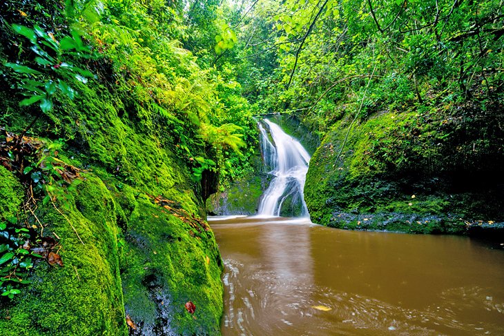 Papua Waterfall