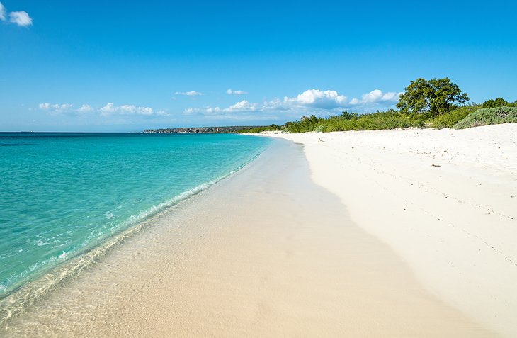 Bahia de las Aguilas