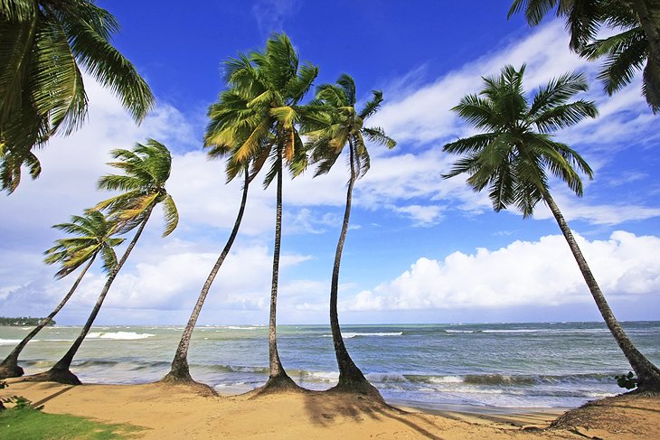 Waterfront in Las Terrenas